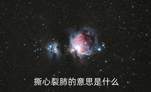  撕心裂肺的意思是什么