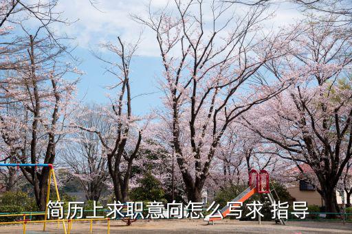  簡(jiǎn)歷上求職意向怎么寫(xiě)求 指導(dǎo)