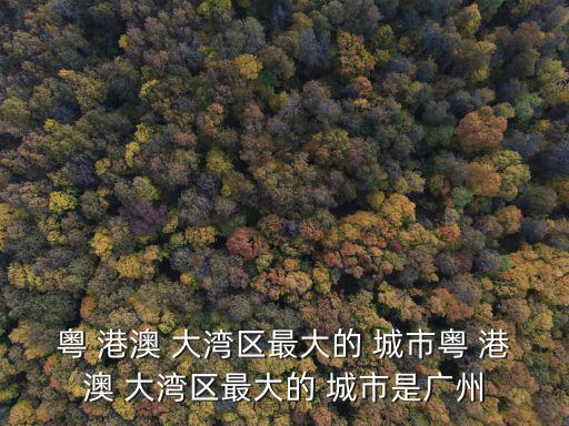 粵 港澳 大灣區最大的 城市粵 港澳 大灣區最大的 城市是廣州
