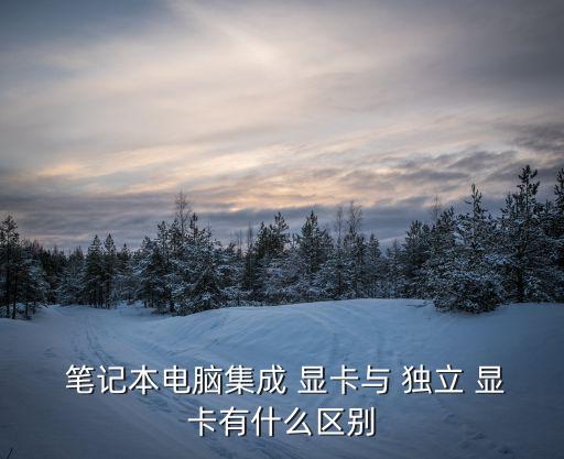  筆記本電腦集成 顯卡與 獨(dú)立 顯卡有什么區(qū)別