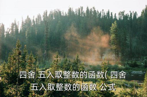 四舍五入公式,關于四舍五入取整數的函數我相信很多