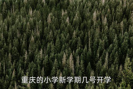 重慶的小學新學期幾號開學