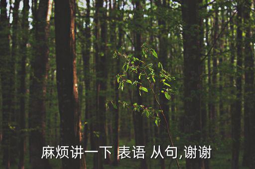 麻煩講一下 表語 從句,謝謝