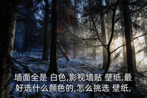 白色壁紙全白,從手機qq恢復(fù)默認背景墻壁布局清單