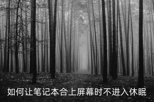 如何讓筆記本合上屏幕時(shí)不進(jìn)入休眠
