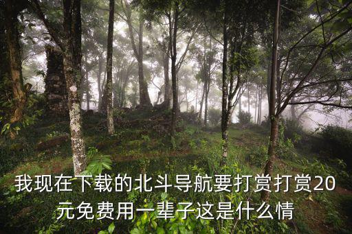 我現(xiàn)在下載的北斗導航要打賞打賞20元免費用一輩子這是什么情