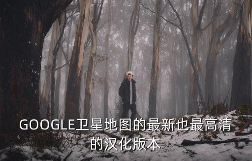 谷歌地圖3d實景地圖網頁版，google maps