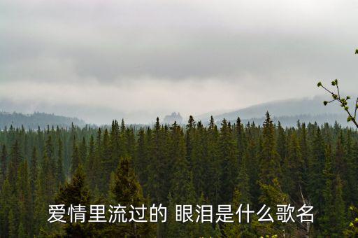  愛情里流過的 眼淚是什么歌名