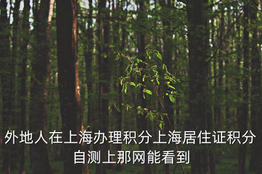 外地人在上海辦理積分上海居住證積分自測上那網能看到