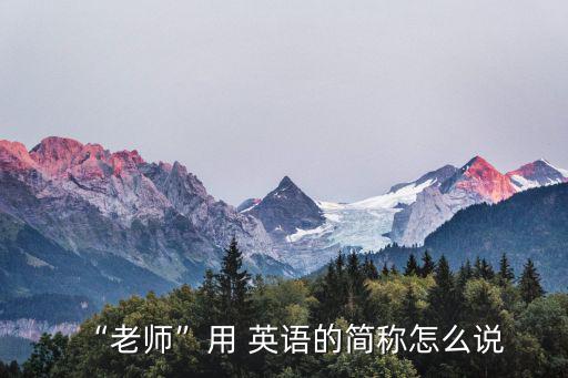 導師英語,老師的英文縮寫:n；n.n...