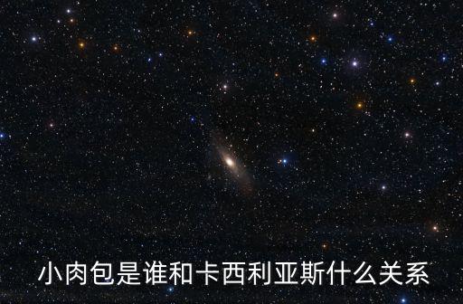  小肉包是誰和卡西利亞斯什么關系