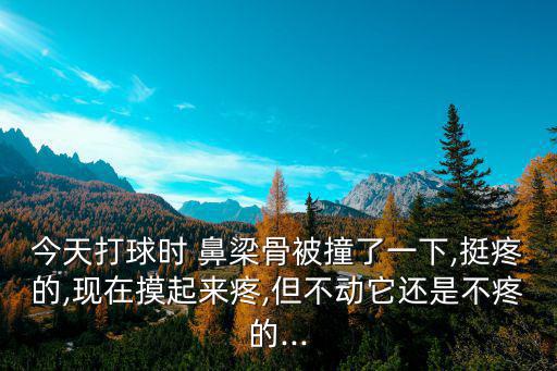 今天打球時 鼻梁骨被撞了一下,挺疼的,現在摸起來疼,但不動它還是不疼的...