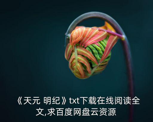 《天元 明紀》txt下載在線閱讀全文,求百度網盤云資源