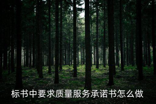 標書中要求質量服務承諾書怎么做