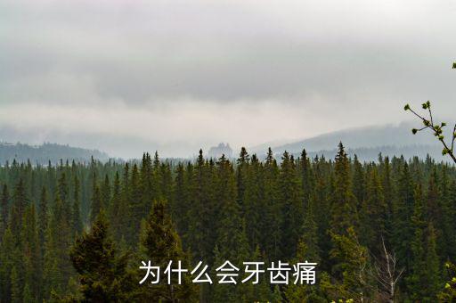 為什么會牙疼,上火后細菌迅速滋生牙齒會感到牙痛