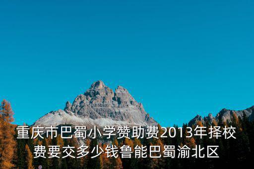 重慶市巴蜀小學(xué)贊助費2013年擇校費要交多少錢魯能巴蜀渝北區(qū)
