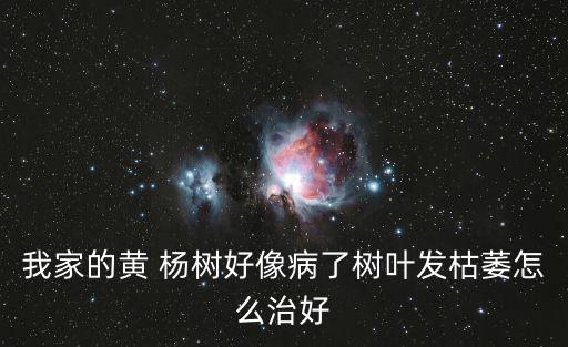 楊樹(shù)潰瘍病,春季干旱易導(dǎo)致楊樹(shù)潰瘍病發(fā)生