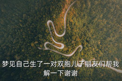 夢見自己生了一對雙胞兒子朋友們幫我解一下謝謝