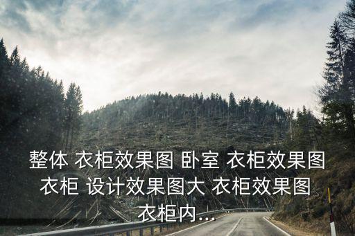 臥室衣柜設計效果圖,裝修攻略!臥室裝修風格一文看懂