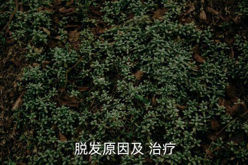  脫發原因及 治療