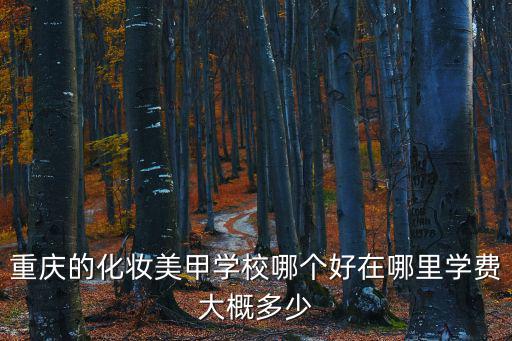重慶的化妝美甲學校哪個好在哪里學費大概多少
