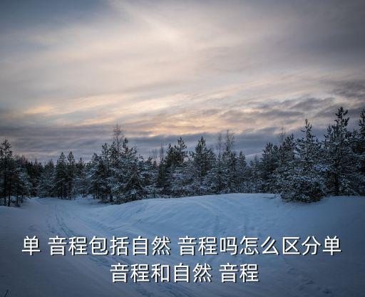 單 音程包括自然 音程嗎怎么區分單 音程和自然 音程