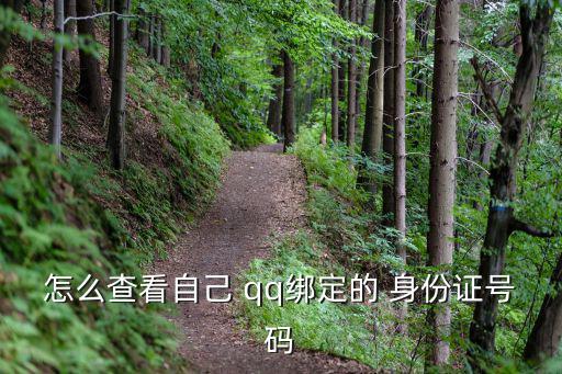 qq身份證在哪看,點(diǎn)擊手機(jī)qq錢包再點(diǎn)擊符號(hào)進(jìn)入更多