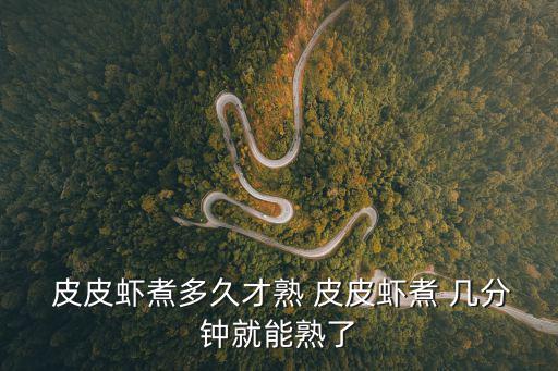  皮皮蝦煮多久才熟 皮皮蝦煮 幾分鐘就能熟了