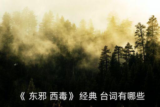 東邪西毒經(jīng)典臺詞,東邪西毒經(jīng)典臺詞:得不到的永遠(yuǎn)是最好的