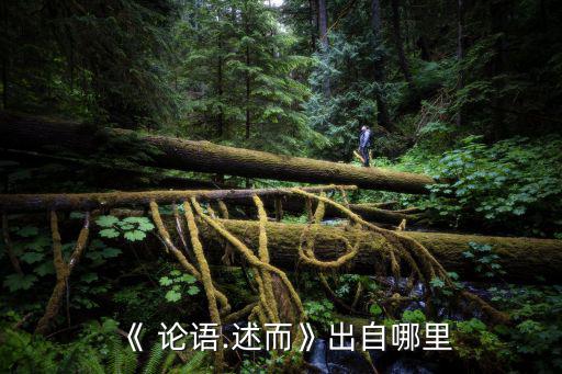 《 論語.述而》出自哪里