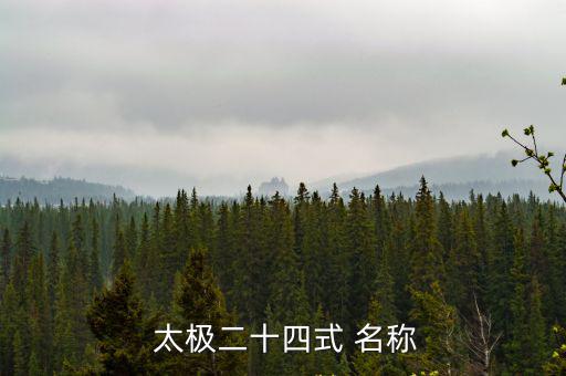  太極二十四式 名稱