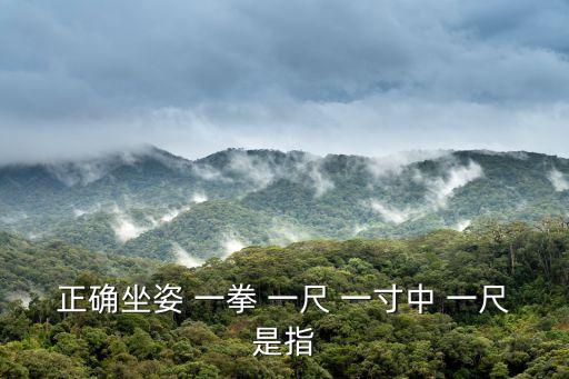 正確坐姿 一拳 一尺 一寸中 一尺是指