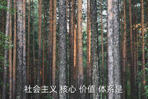 社會主義 核心 價值 體系是