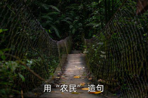 用“農(nóng)民” 造句