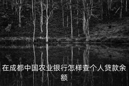 在成都中國農業銀行怎樣查個人貸款余額