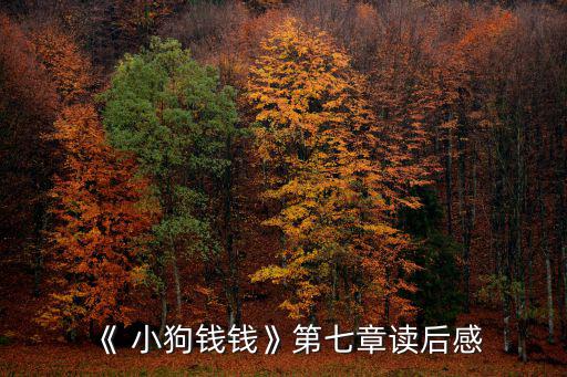 《 小狗錢錢》第七章讀后感