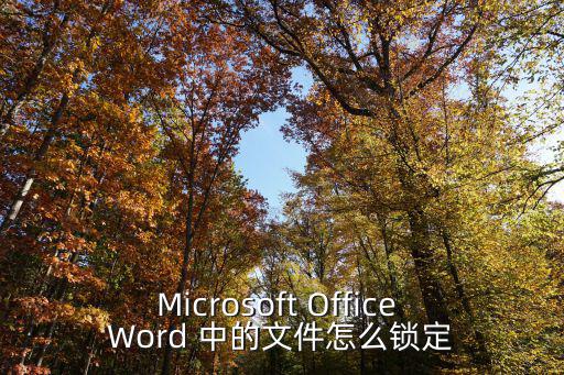 word鎖定，Microsoft Office Word 中的文件怎么鎖定