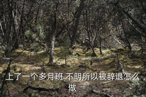 上了一個多月班 不明所以被辭退怎么做