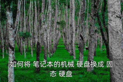 如何將 筆記本的機械 硬盤換成 固態 硬盤