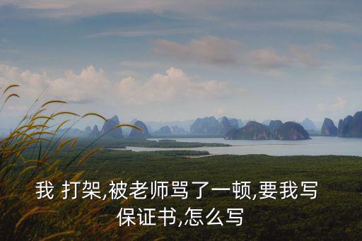 打架保證書,保證書單方特征:有雙方認證且有強烈承諾的信函