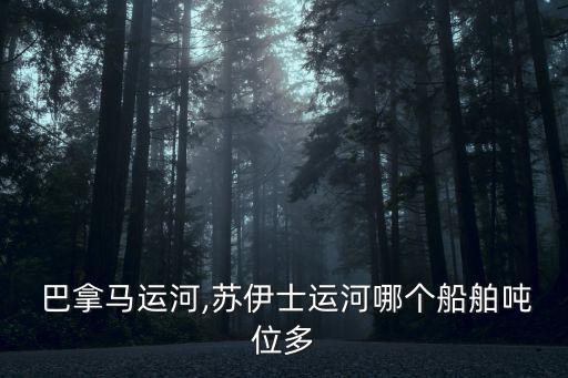  巴拿馬運河,蘇伊士運河哪個船舶噸位多
