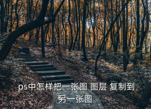  ps中怎樣把一張圖 圖層 復制到另一張圖