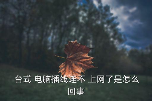  臺(tái)式 電腦插線連不 上網(wǎng)了是怎么回事