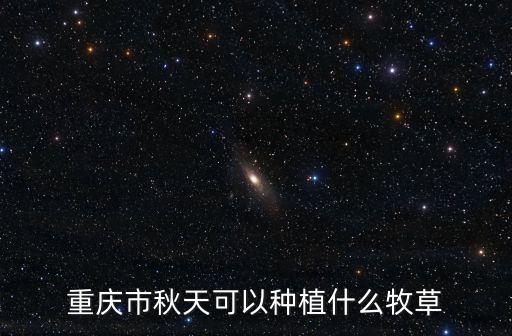 重慶市秋天可以種植什么牧草