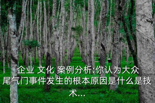  企業 文化 案例分析:你認為大眾尾氣門事件發生的根本原因是什么是技術...