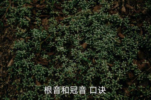 根音和冠音 口訣