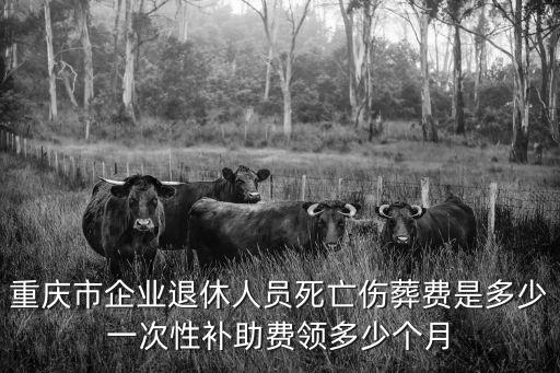重慶市企業退休人員死亡傷葬費是多少一次性補助費領多少個月
