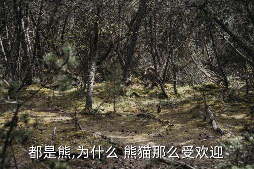 都是熊,為什么 熊貓那么受歡迎