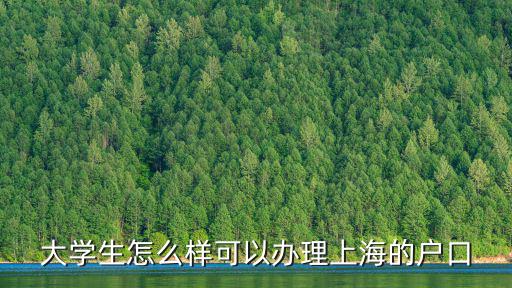 大學生怎么樣可以辦理上海的戶口
