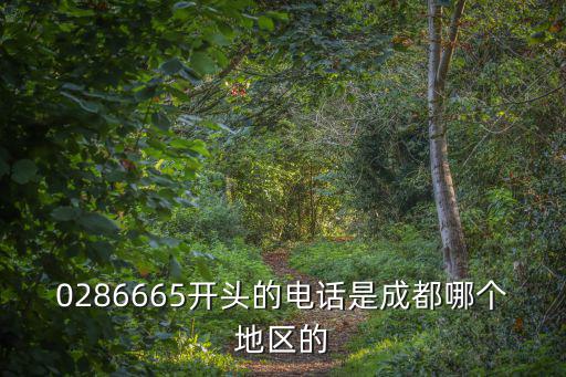 0286665開頭的電話是成都哪個地區的